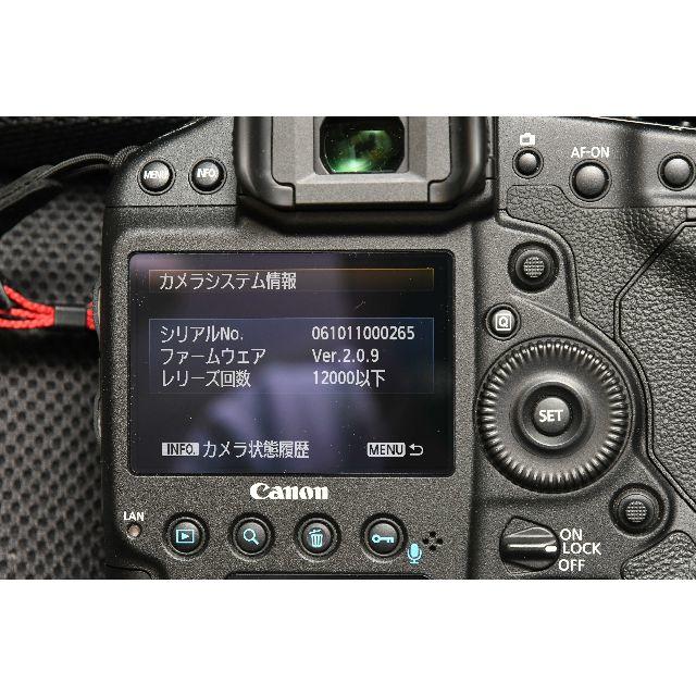 Canon(キヤノン)のキヤノン EOS-1D X ボディ　美品　ショット数12,000以下 スマホ/家電/カメラのカメラ(デジタル一眼)の商品写真