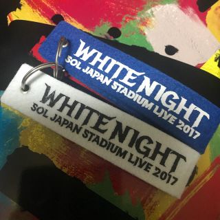 ビッグバン(BIGBANG)のWHITE NIGHT ヨンベソロツアー 会場限定特典 キーリングキーホルダー(アイドルグッズ)