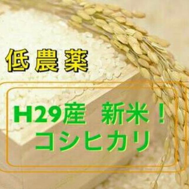 食品/飲料/酒新米!!一等米会津産‼コシヒカリ25kg!!