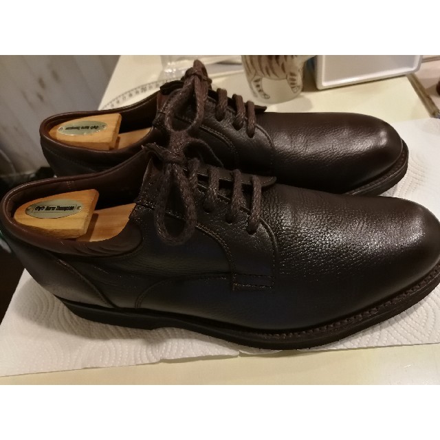 Alden(オールデン)の値下　オールデン　プレーントゥ　9.5c　グレインレザー　シボ革　値下げ　美品 メンズの靴/シューズ(ドレス/ビジネス)の商品写真