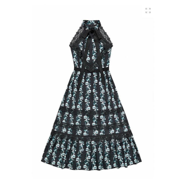 Erdem(アーデム)のH&M × ERDEM コラボロングワンピース レディースのワンピース(ロングワンピース/マキシワンピース)の商品写真