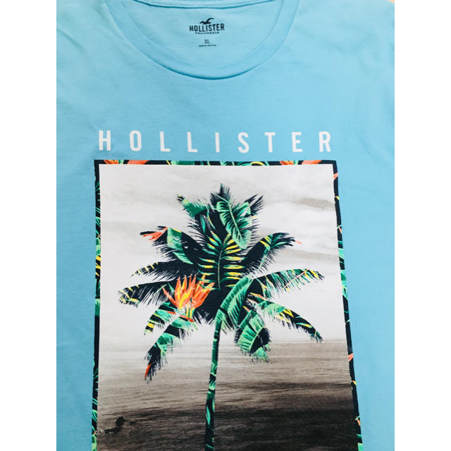 Hollister(ホリスター)の値下げ！新品☆ホリスター  メンズ Tシャツ メンズのトップス(Tシャツ/カットソー(半袖/袖なし))の商品写真