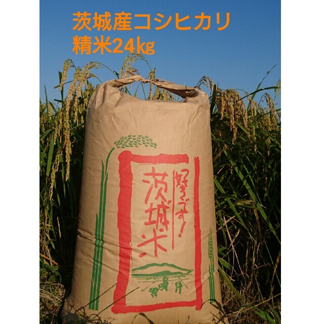 茨城29年産コシヒカリ精米済み白米24㎏ 食品/飲料/酒の食品(米/穀物)の商品写真