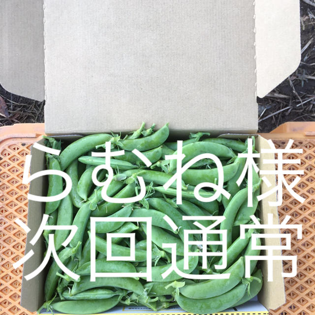 鹿児島産スナップエンドウ1キロ^_^次回通常 食品/飲料/酒の食品(野菜)の商品写真