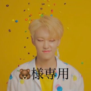 セブンティーン(SEVENTEEN)の🐻様専用(シングルカード)