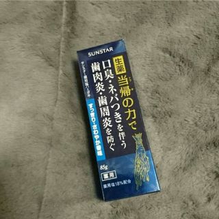 最終値下げ‼サンスター 薬用塩歯磨き ５本セット(その他)