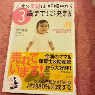 育児本  人生の基盤は妊娠中から3歳までに決まる(住まい/暮らし/子育て)