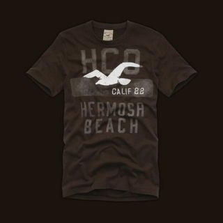 ホリスター(Hollister)のホリスター プリント　半袖Ｔシャツ　レア(Tシャツ/カットソー(半袖/袖なし))