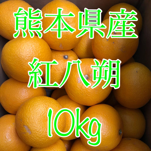 熊本県産 紅八朔 10kg   食品/飲料/酒の食品(フルーツ)の商品写真