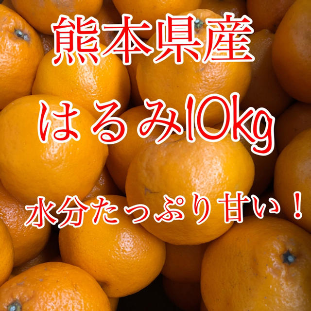 熊本県産 はるみ 10kg  食品/飲料/酒の食品(フルーツ)の商品写真