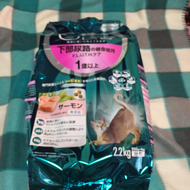 ピュリナワン 猫  その他のペット用品(ペットフード)の商品写真