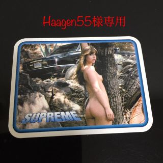 シュプリーム(Supreme)の5w-3 haagen様専用 シュプリーム  シール(その他)