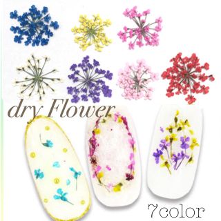 ネイル  小花 レースドライフラワー 押し花 セット(ネイル用品)