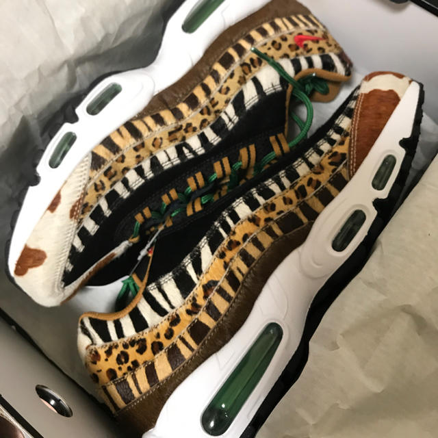 NIKE(ナイキ)のNike Air Max 95 Animr Pack メンズの靴/シューズ(スニーカー)の商品写真