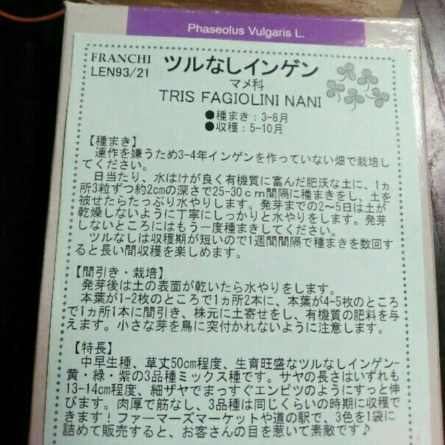 イタリア野菜　カラフルなインゲンの種子　プランターでOK 食品/飲料/酒の食品(野菜)の商品写真