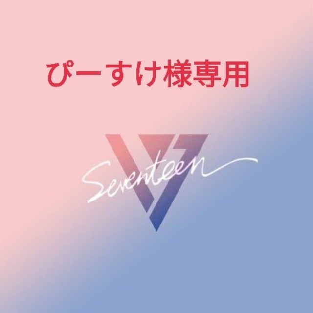 SEVENTEEN(セブンティーン)のぴーすけ様専用 その他のその他(その他)の商品写真