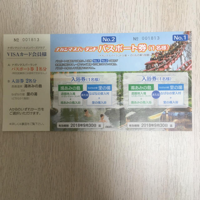 ナガシマスパーランド パスポート券-