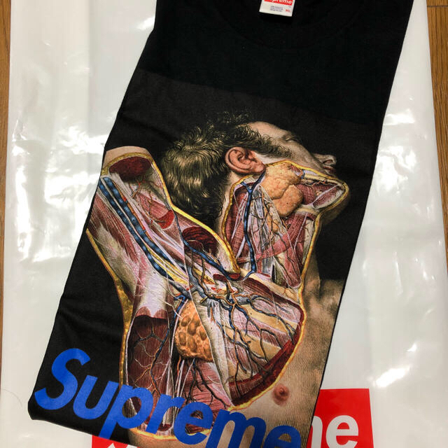 Supreme Undercover 16aw Anatomy Tee