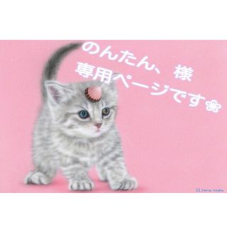 のんたん様専用ページです❀(ピアス)