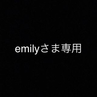 emilyさま専用(その他)