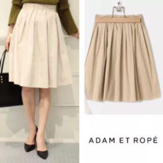 アダムエロぺ(Adam et Rope')のアダムエロペ☆リバーシブルスカート☆トゥモローランド イエナ 好きな方に(ひざ丈スカート)