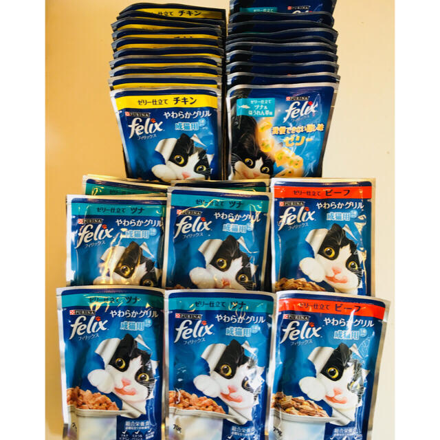 Nestle(ネスレ)のfelix フィリックス 成猫用 チキン10 ツナ10 ゼリー10 ビーフ5 その他のペット用品(ペットフード)の商品写真