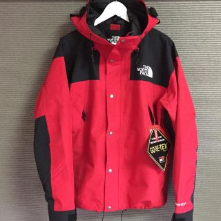 ザノースフェイス(THE NORTH FACE)の希少Lサイズ  新品 未使用 1990 MOUNTAIN JACKET GTX®(マウンテンパーカー)