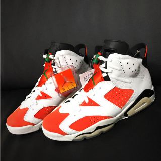 ナイキ(NIKE)のAIR JORDAN6  ゲータレード 27.5cm  新品未使用！(スニーカー)