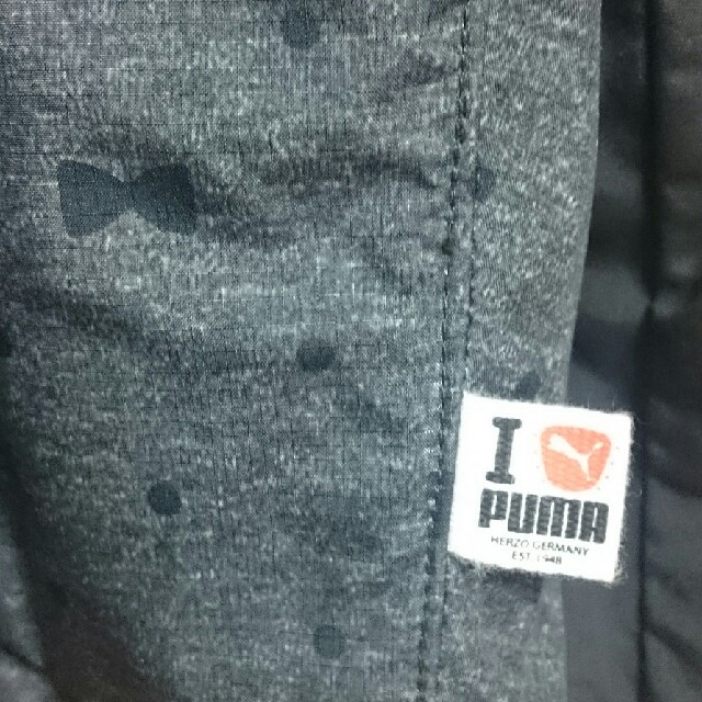 PUMA(プーマ)の超美品★PUMA★ウィンドブレーカーＬ レディースのジャケット/アウター(ブルゾン)の商品写真