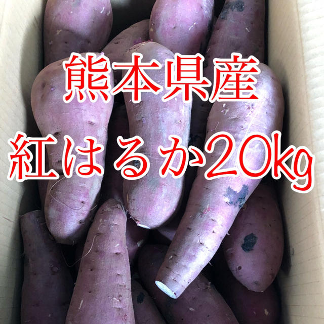 熊本県産 紅はるか 20kg  食品/飲料/酒の食品(野菜)の商品写真