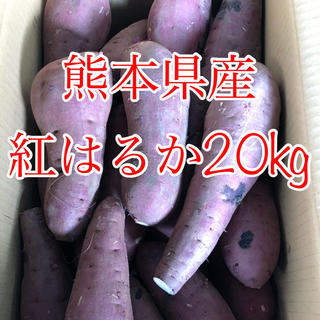 熊本県産 紅はるか 20kg (野菜)