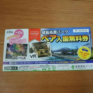 城島高原パーク  ペア入場券(送料込)(遊園地/テーマパーク)