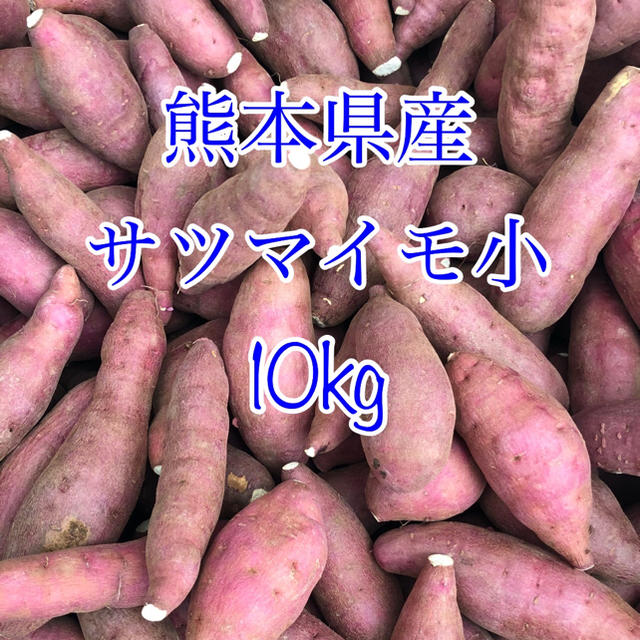 熊本県産 サツマイモ 小10kg   食品/飲料/酒の食品(野菜)の商品写真