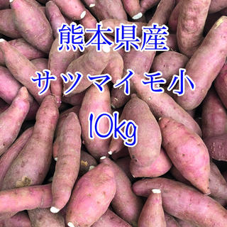 熊本県産 サツマイモ 小10kg  (野菜)