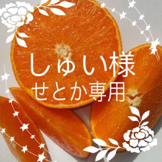 しゅい様☆せとか6キロ(フルーツ)