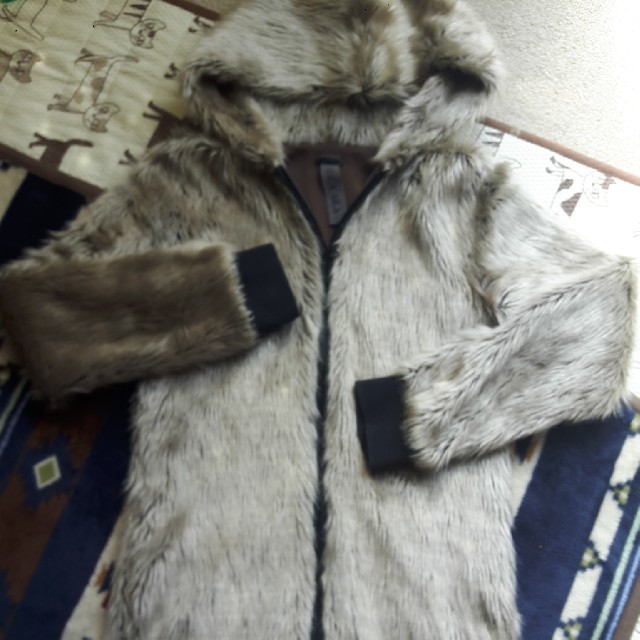AULA AILA(アウラアイラ)のAULAAILAパーカー レディースのジャケット/アウター(その他)の商品写真