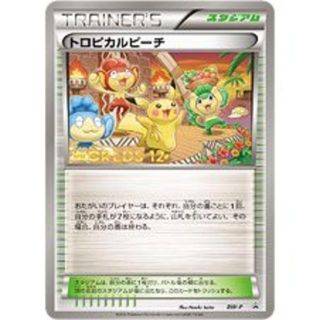 トロピカルビーチ プロモ ポケモンカード WCS2012 　2枚セット