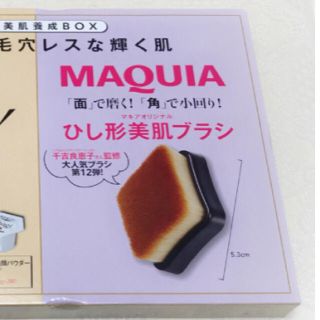 オバジ(Obagi)のマキア五月号付録ブラシのみ(ファッション)