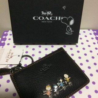 コーチ(COACH)の限定品レア！コーチ×スヌーピー☆コラボ☆定期入れ☆パスケース☆キーケース☆小銭入(パスケース/IDカードホルダー)