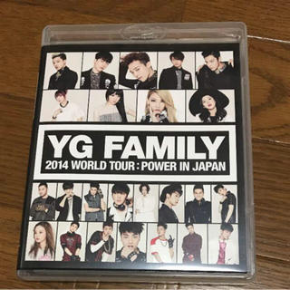 ビッグバン(BIGBANG)のヒナ様専用yg family 2014 DVD ブルーレイ bigbang (ミュージック)