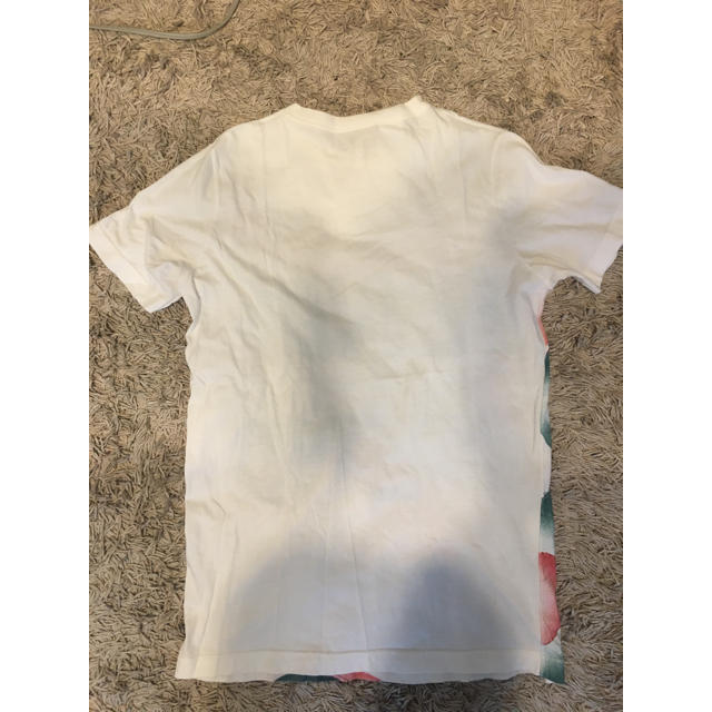 FENDI(フェンディ)の新品 FENDI フェンディ Tシャツ レディースのトップス(Tシャツ(半袖/袖なし))の商品写真