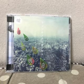 Saucy Dog CDウソツキノナミダノワケ(ポップス/ロック(邦楽))