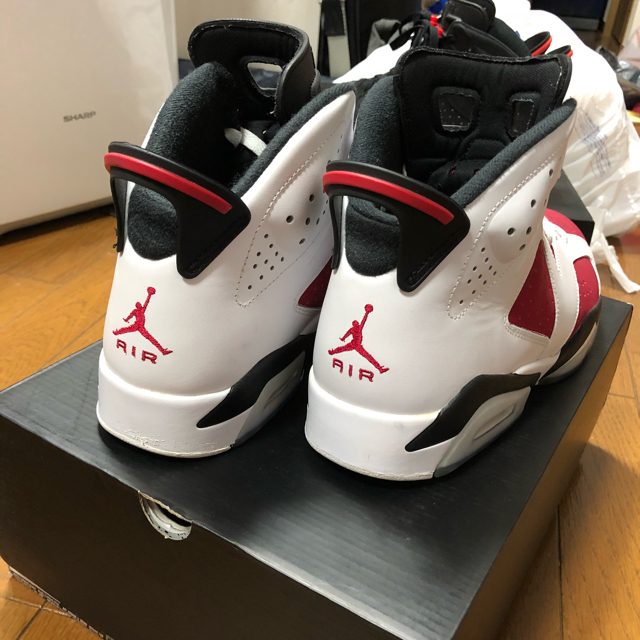 AIR JORDAN 6 カーマイン　28cm