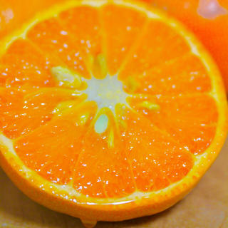 希少柑橘 べにばえ 2kg(フルーツ)
