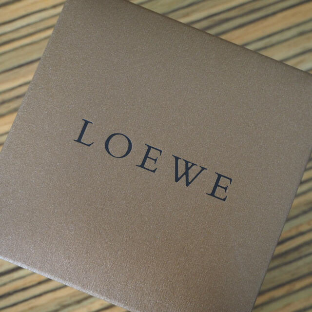 LOEWE(ロエベ)のLOEWE ネックレス 【最終値下げ】 レディースのアクセサリー(ネックレス)の商品写真