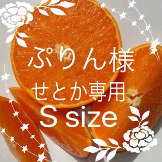 ぷりん様☆せとか6キロ(フルーツ)