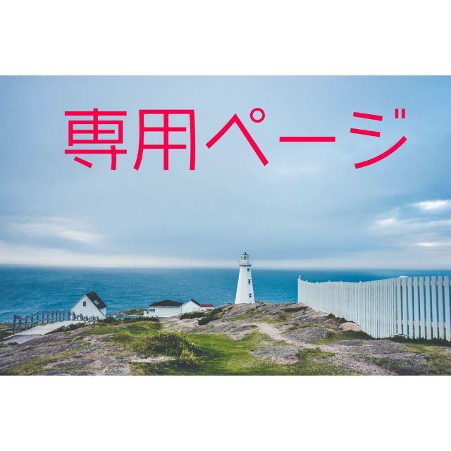 格安SALEスタート】 りな様 専用ページ ネックレス - hesnor.com