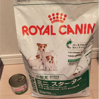 ロイヤルカナン(ROYAL CANIN)の❤︎まろん❤︎様 専用(ペットフード)