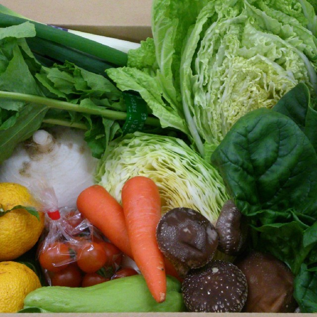 ☆こじ様専用ページ　100サイズお野菜セット☆ 食品/飲料/酒の食品(野菜)の商品写真