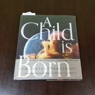 『A Child is Born』　あすなろ書房(ノンフィクション/教養)